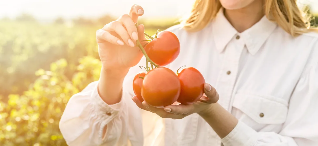 McDonalds Supplier Quality Management System (SQMS)